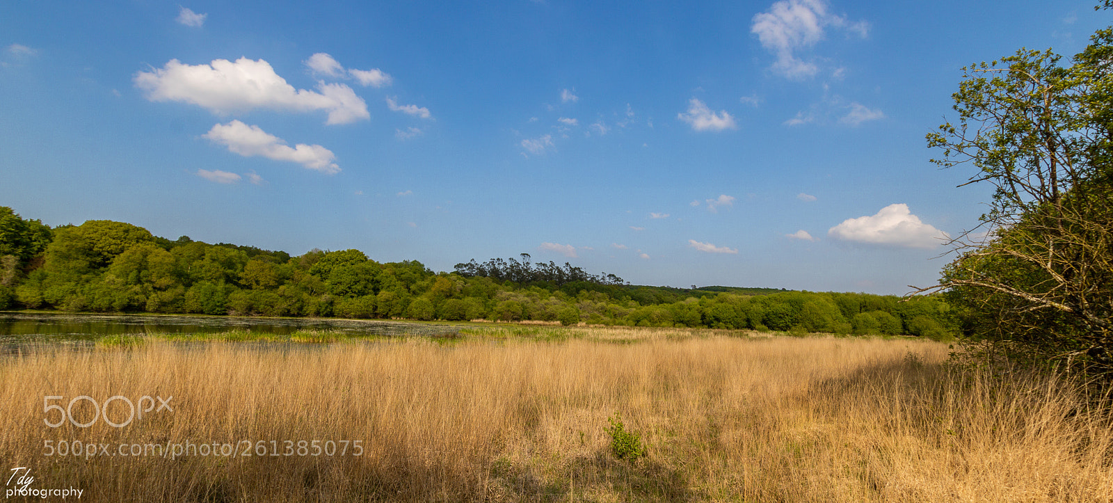 Canon EOS 750D (EOS Rebel T6i / EOS Kiss X8i) sample photo. Sunny day in the photography