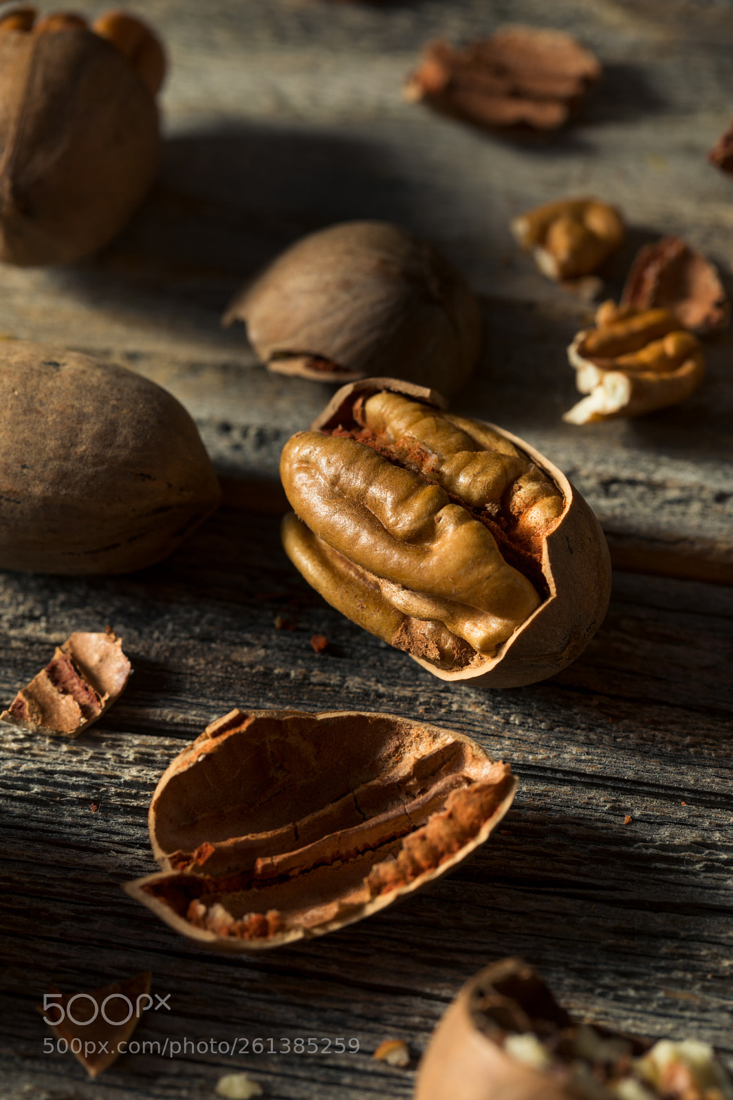 Canon EOS 5D Mark IV sample photo. Raw brown organic shelled photography