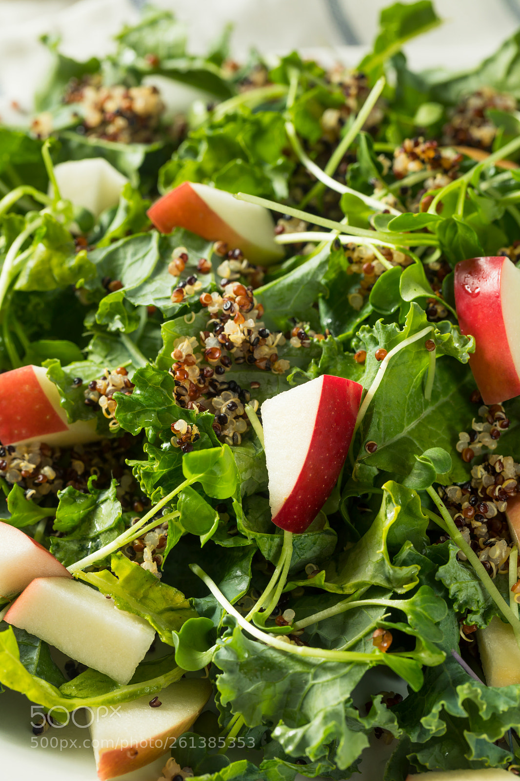Canon EOS 5D Mark IV sample photo. Raw healthy organic kale photography