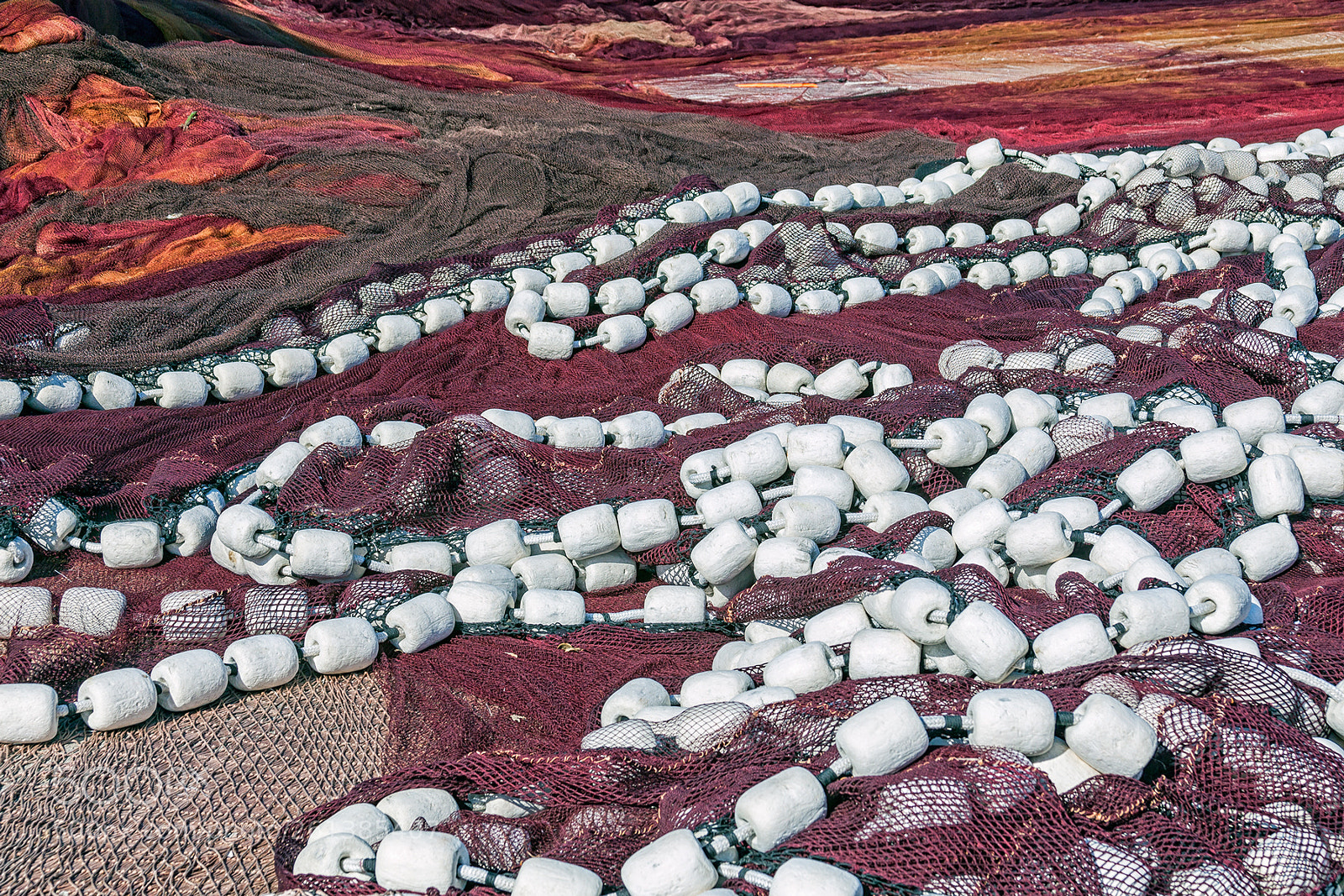 Canon EOS 5D Mark II sample photo. Fishing nets photography