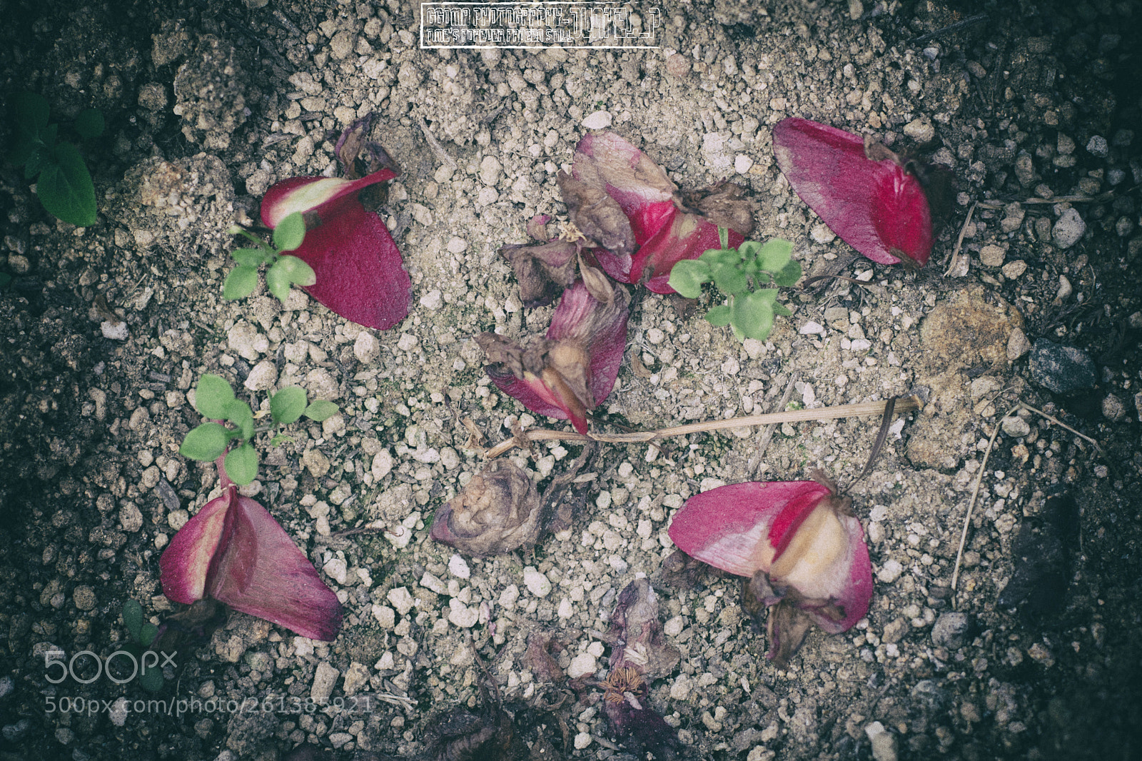 Nikon D5300 sample photo. Untitled photography