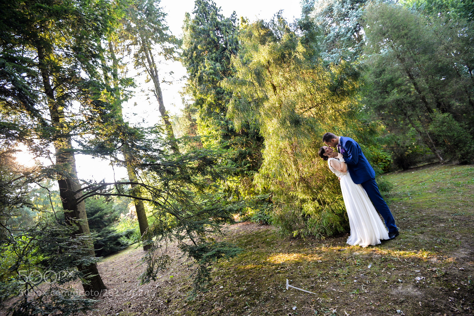 Nikon D610 sample photo. 16 photography