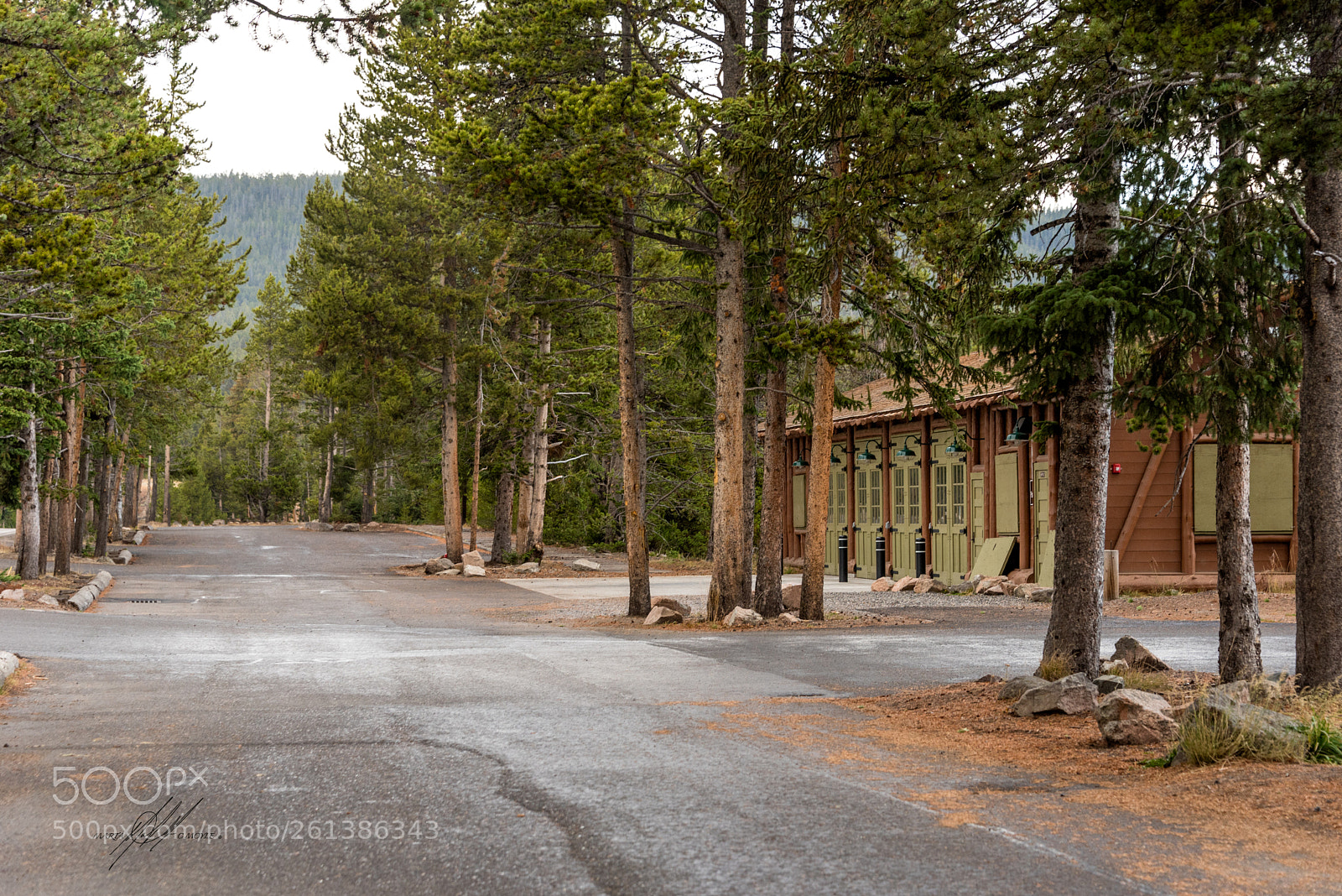Nikon D750 sample photo. Yellowston fishing bridge nef photography
