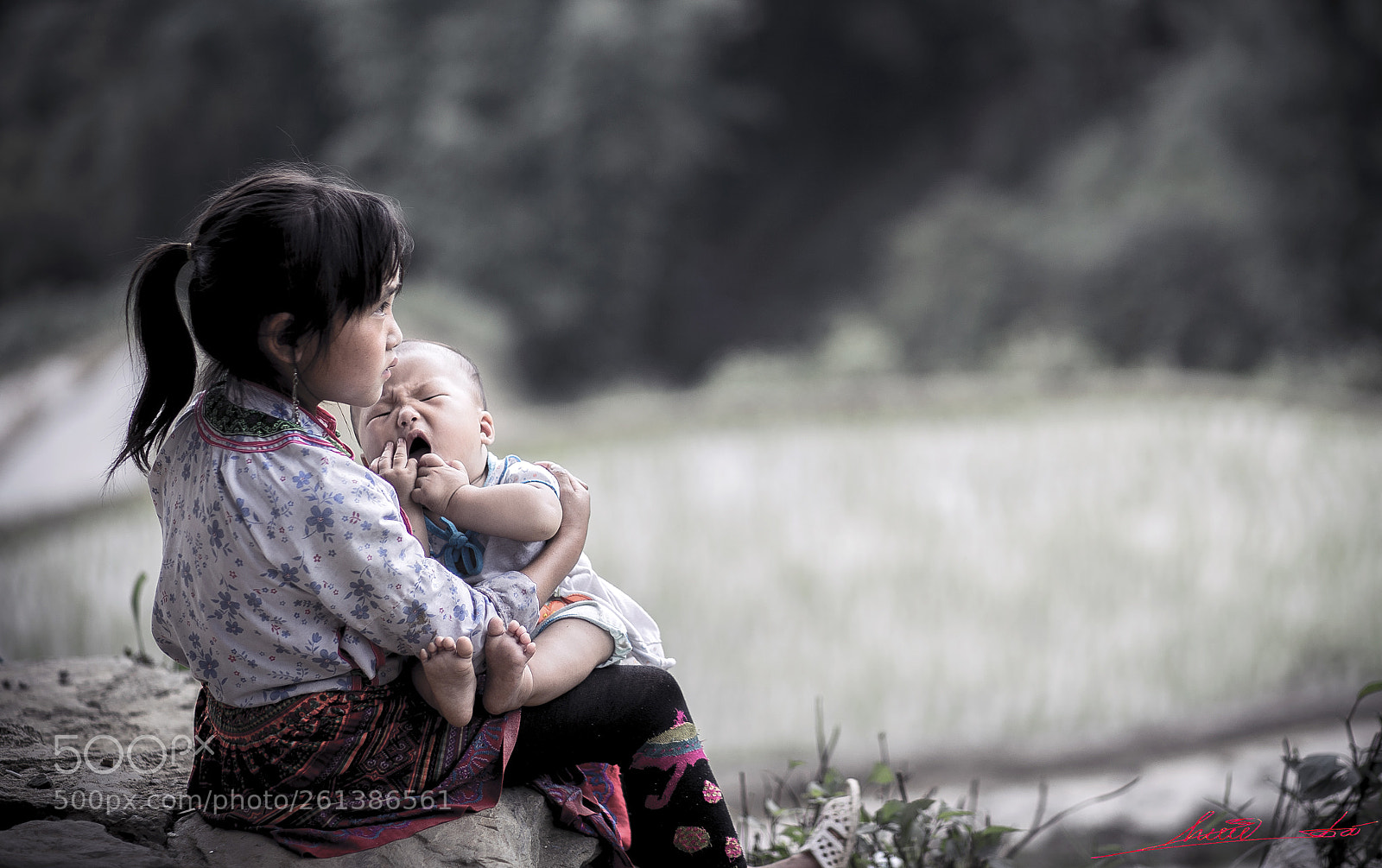 Canon EOS 6D sample photo. Img photography