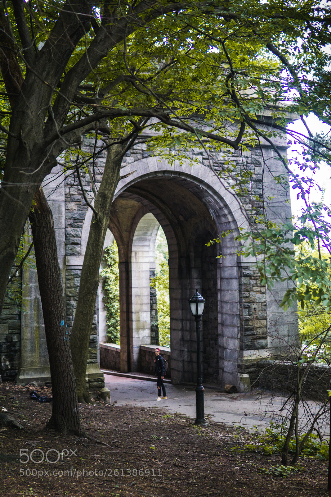 Sony a6000 sample photo. The cloisters photography