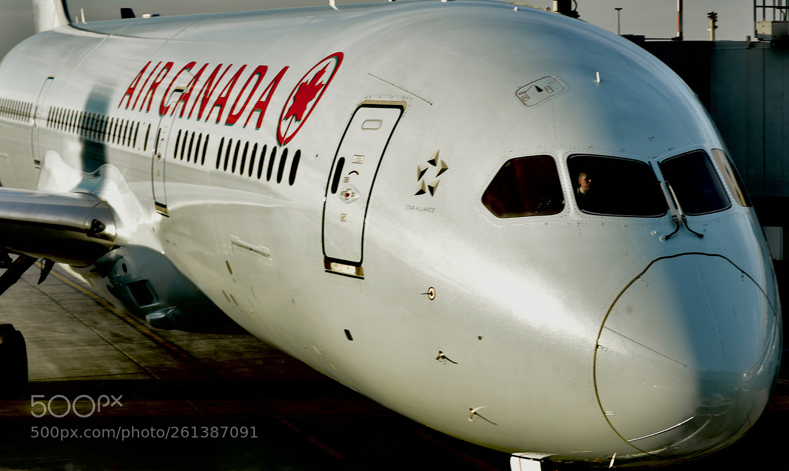 Nikon D810 sample photo. Air canada photography