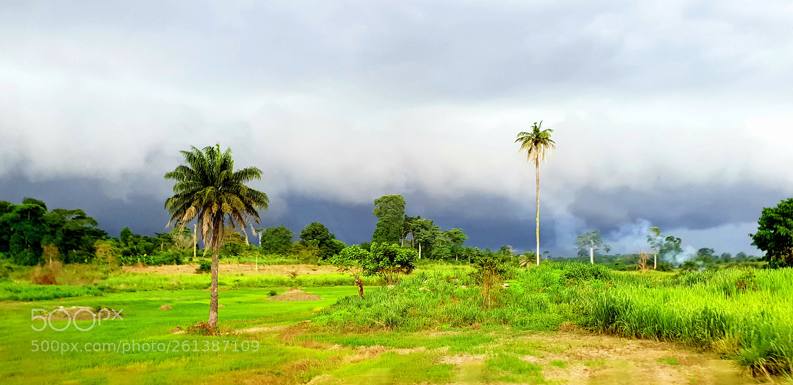 Samsung Galaxy S9 sample photo. Before a storm photography