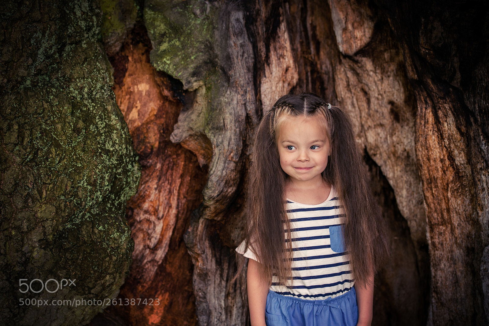 Nikon D800 sample photo. Surrounded photography