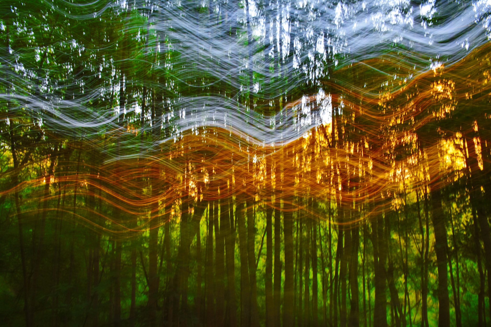 Nikon D7200 sample photo. Light dance photography