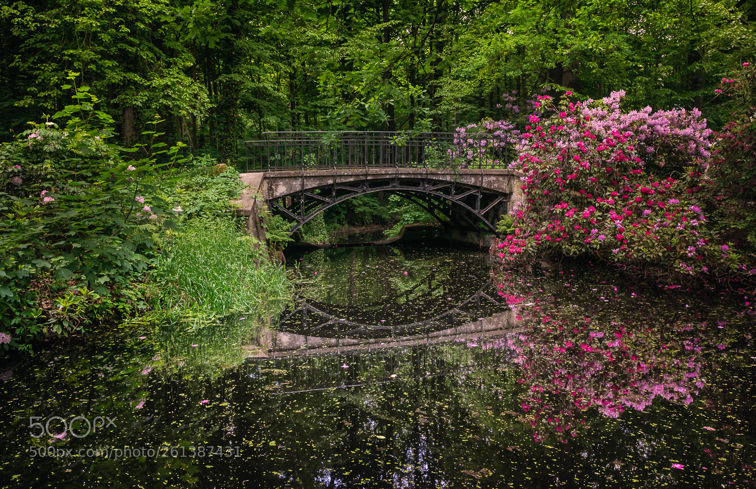 Nikon D90 sample photo. Gardens of the moszna photography
