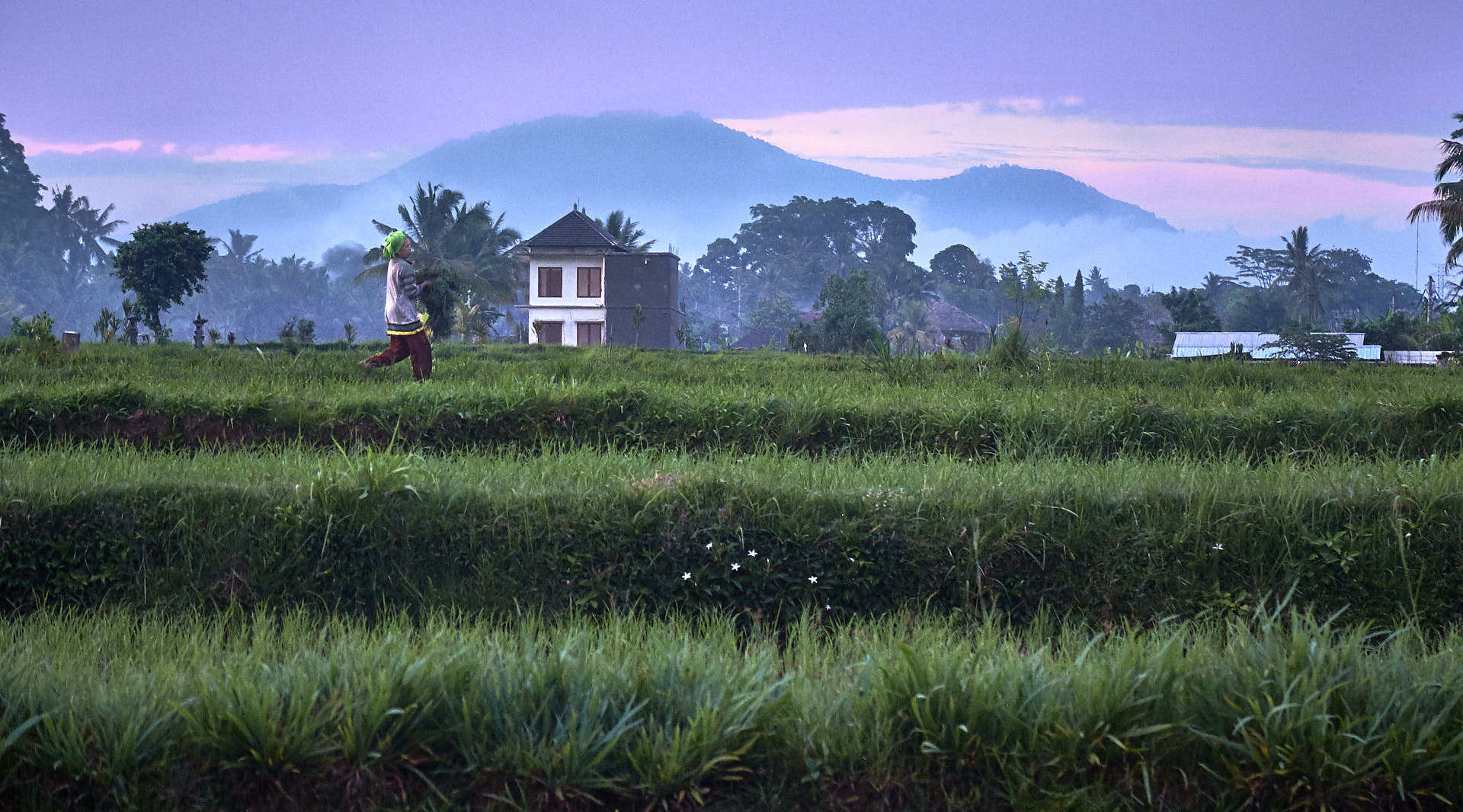 Fujifilm X20 sample photo. Country life photography
