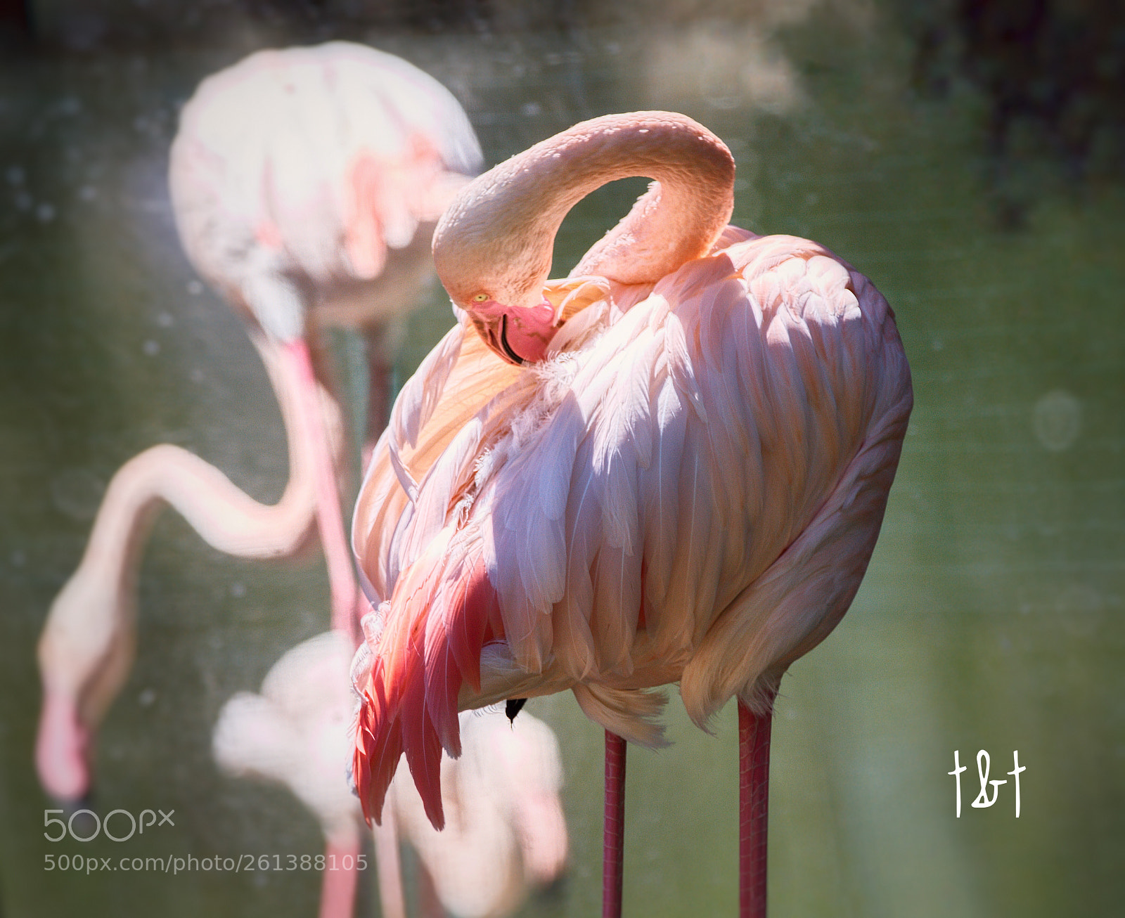 Canon EOS 7D sample photo. Untitled photography