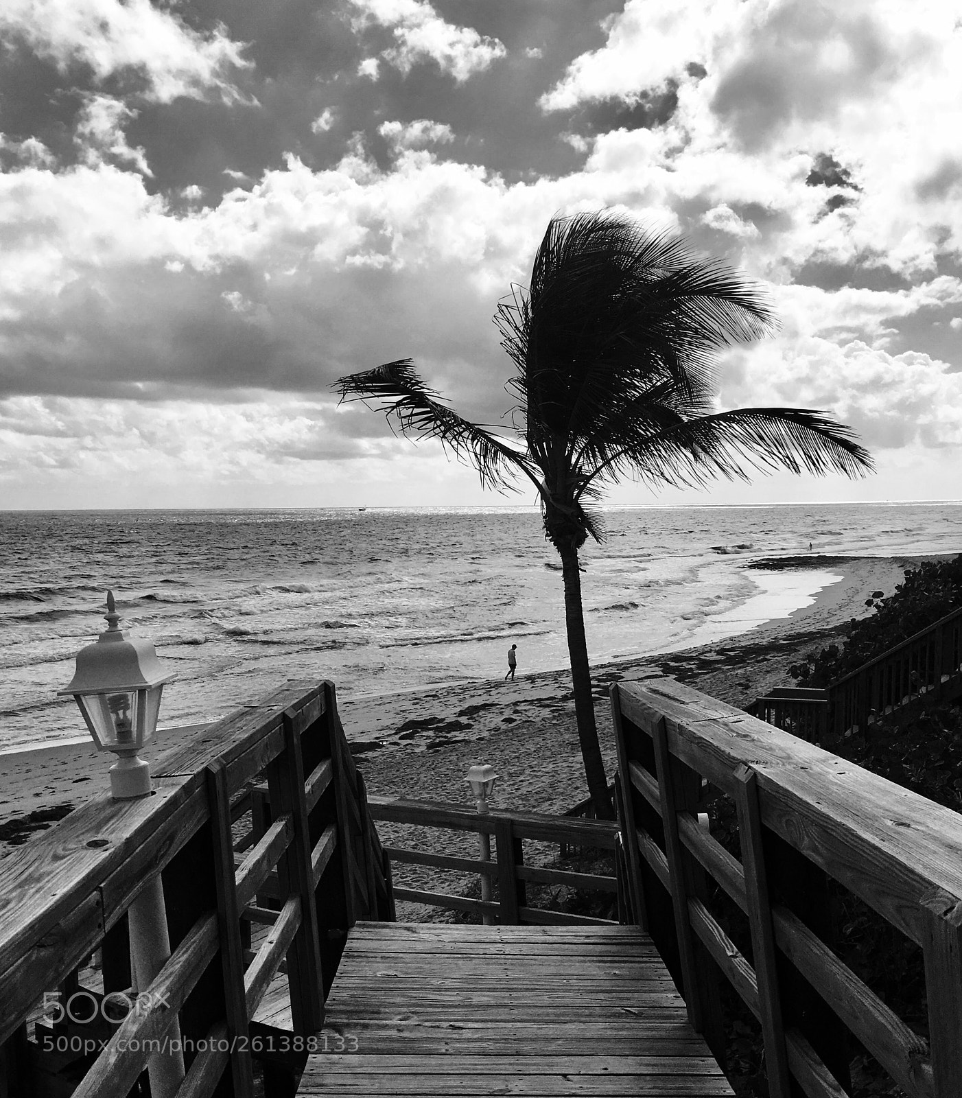 Apple iPhone 6s Plus sample photo. Highland cove photography