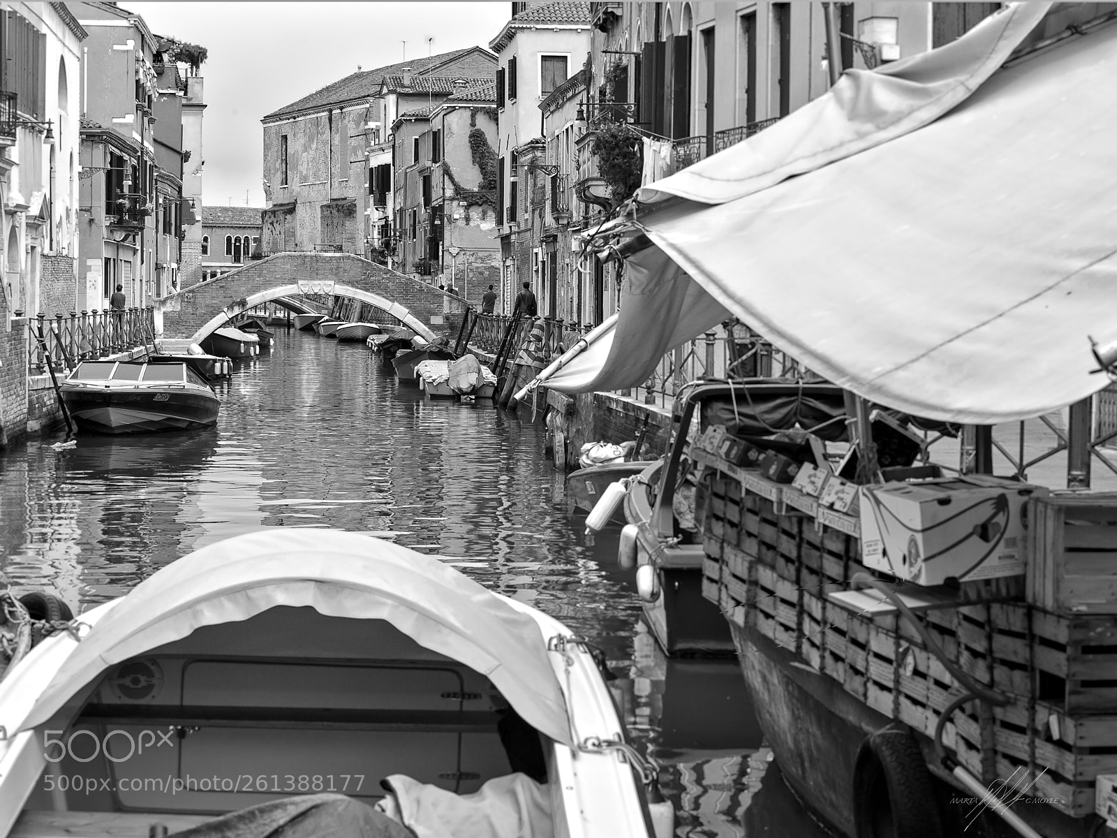 Nikon D700 sample photo. Venice giardini photography