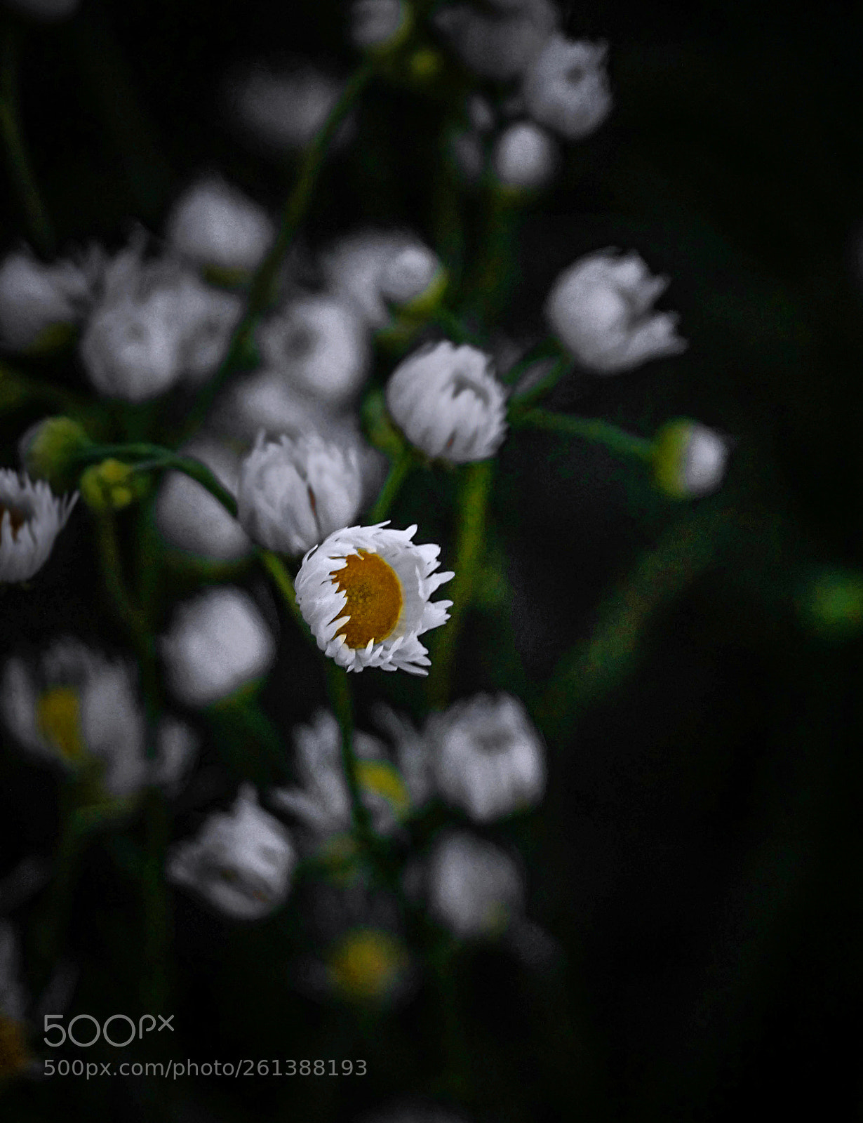 Sony SLT-A58 sample photo. Sun is up photography