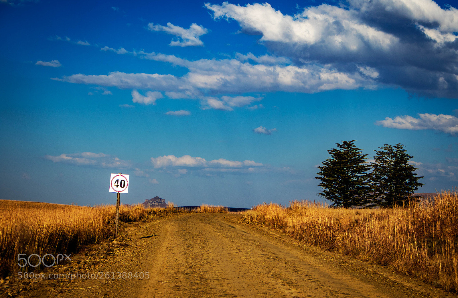 Canon EOS 7D Mark II sample photo. Slow down photography