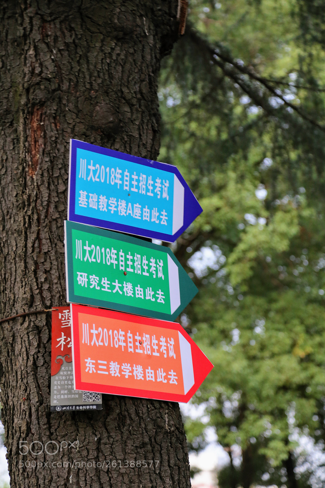 Canon EOS 6D sample photo. 四川大学 photography