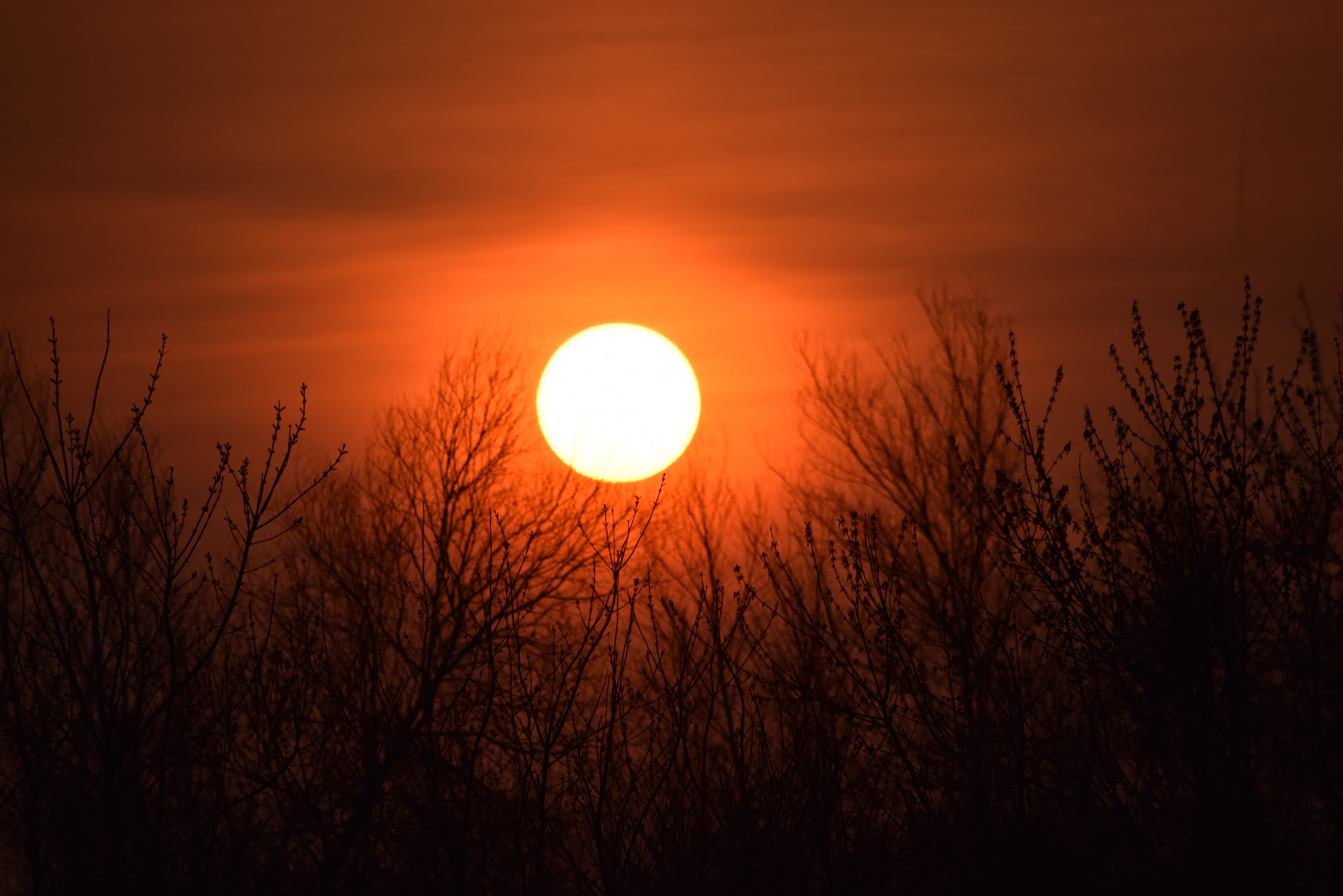 Nikon D3300 sample photo. Orange sunset photography