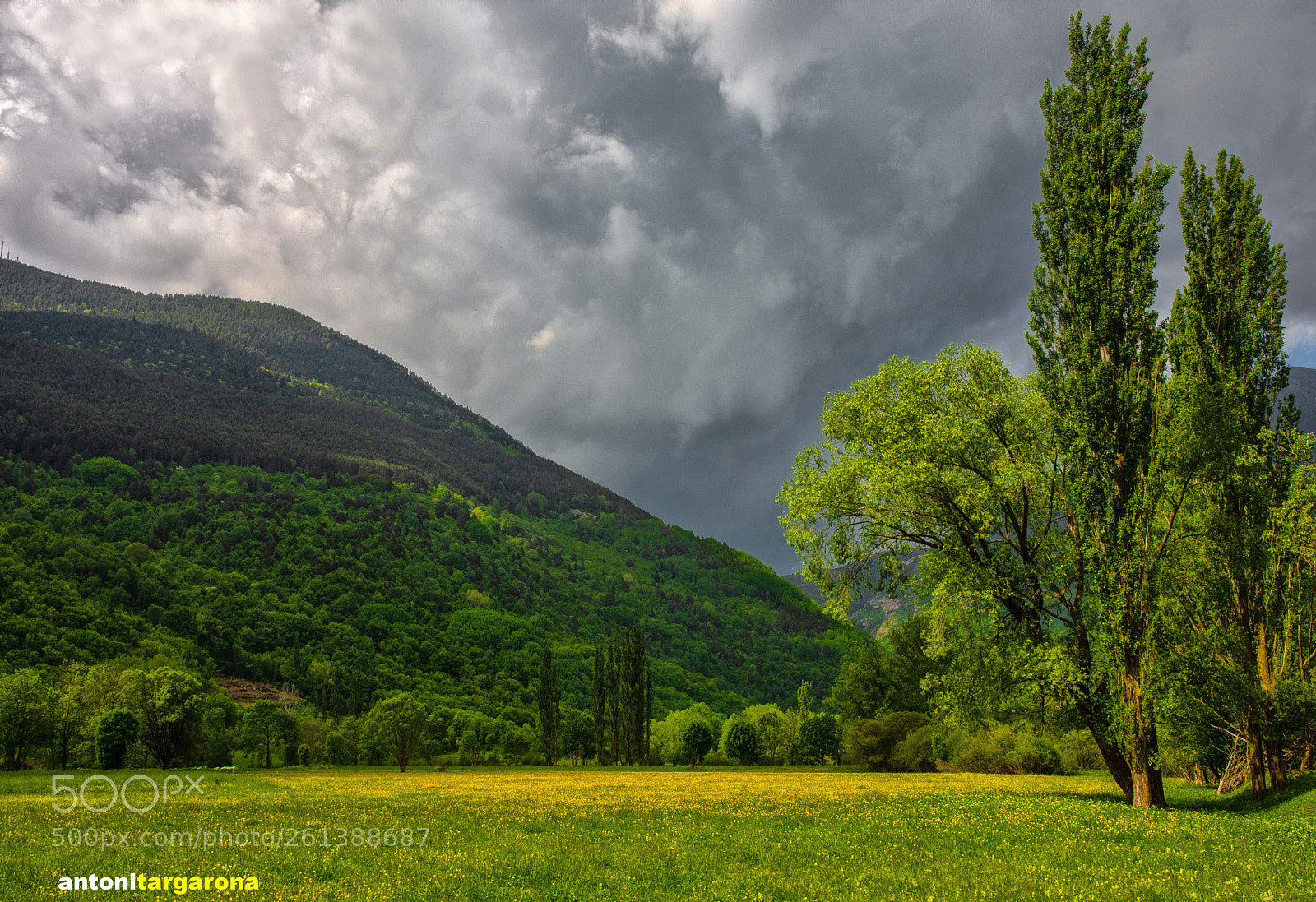 Nikon D7200 sample photo. El pirineu est de photography