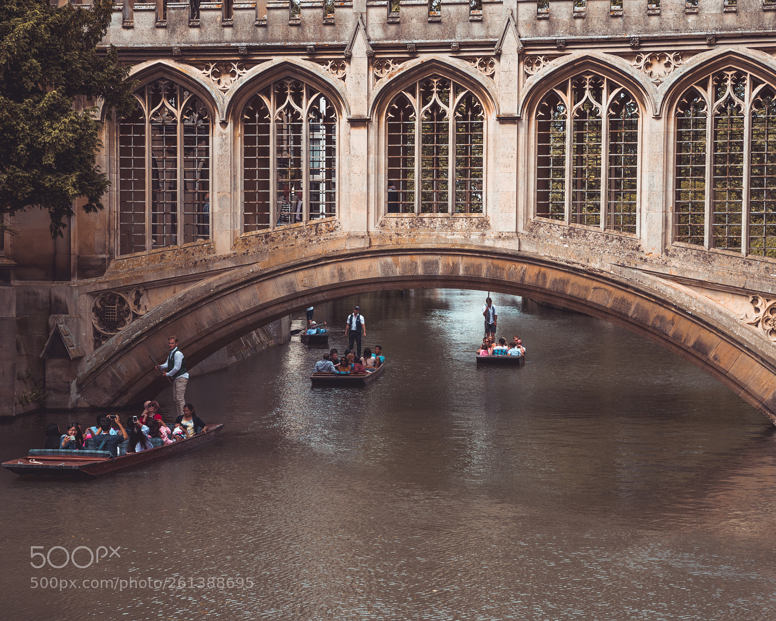 Nikon D810 sample photo. The journey photography