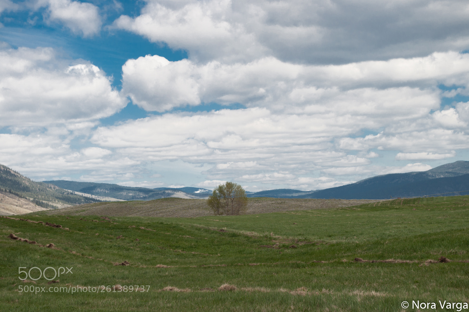 Nikon D5000 sample photo. In the land of photography
