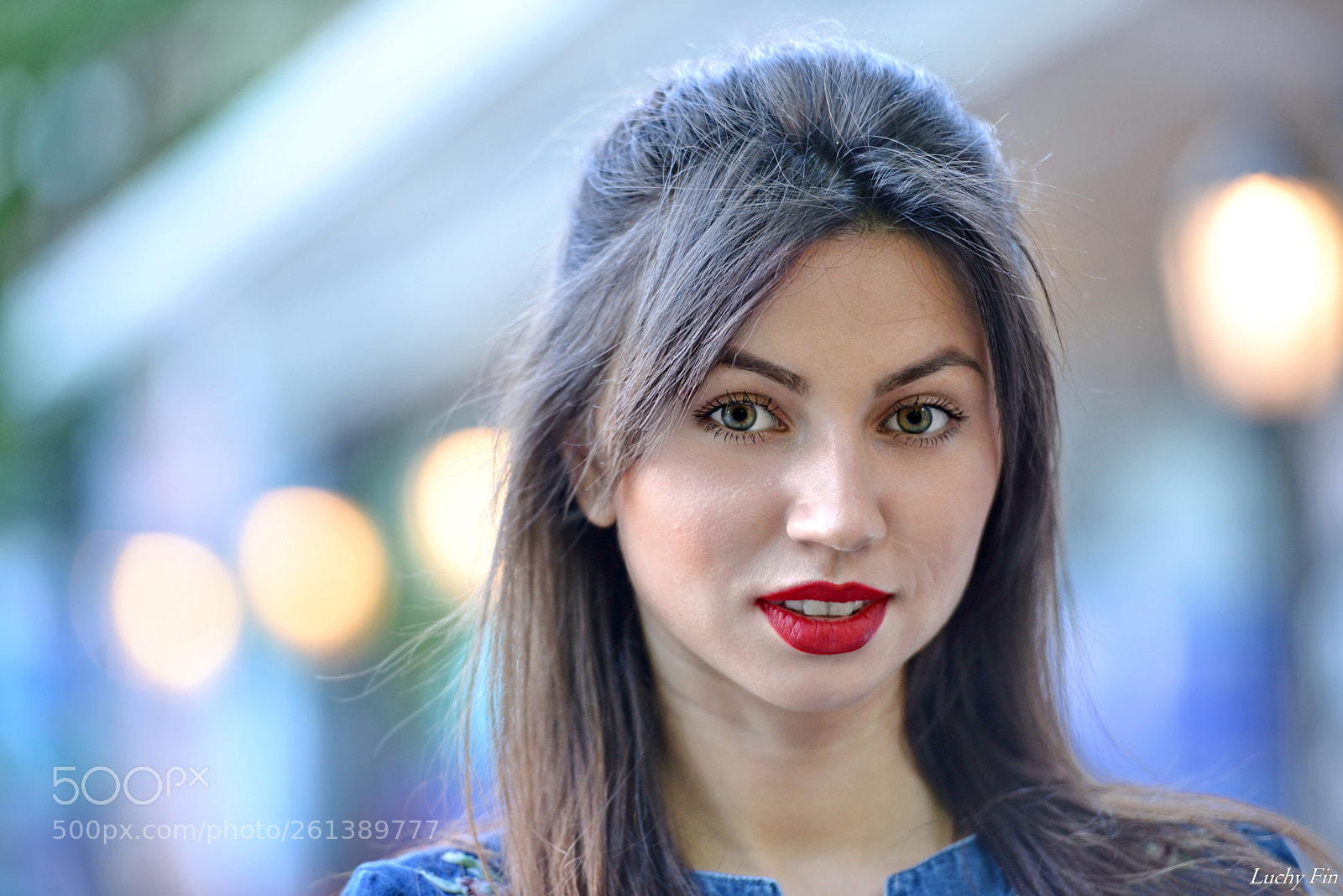 Nikon D800 sample photo. Blue lilia () photography