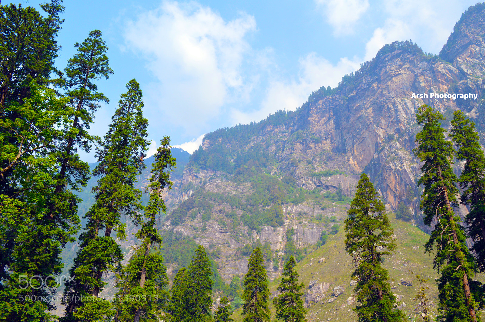 Nikon D3200 sample photo. Enchanting nature photography