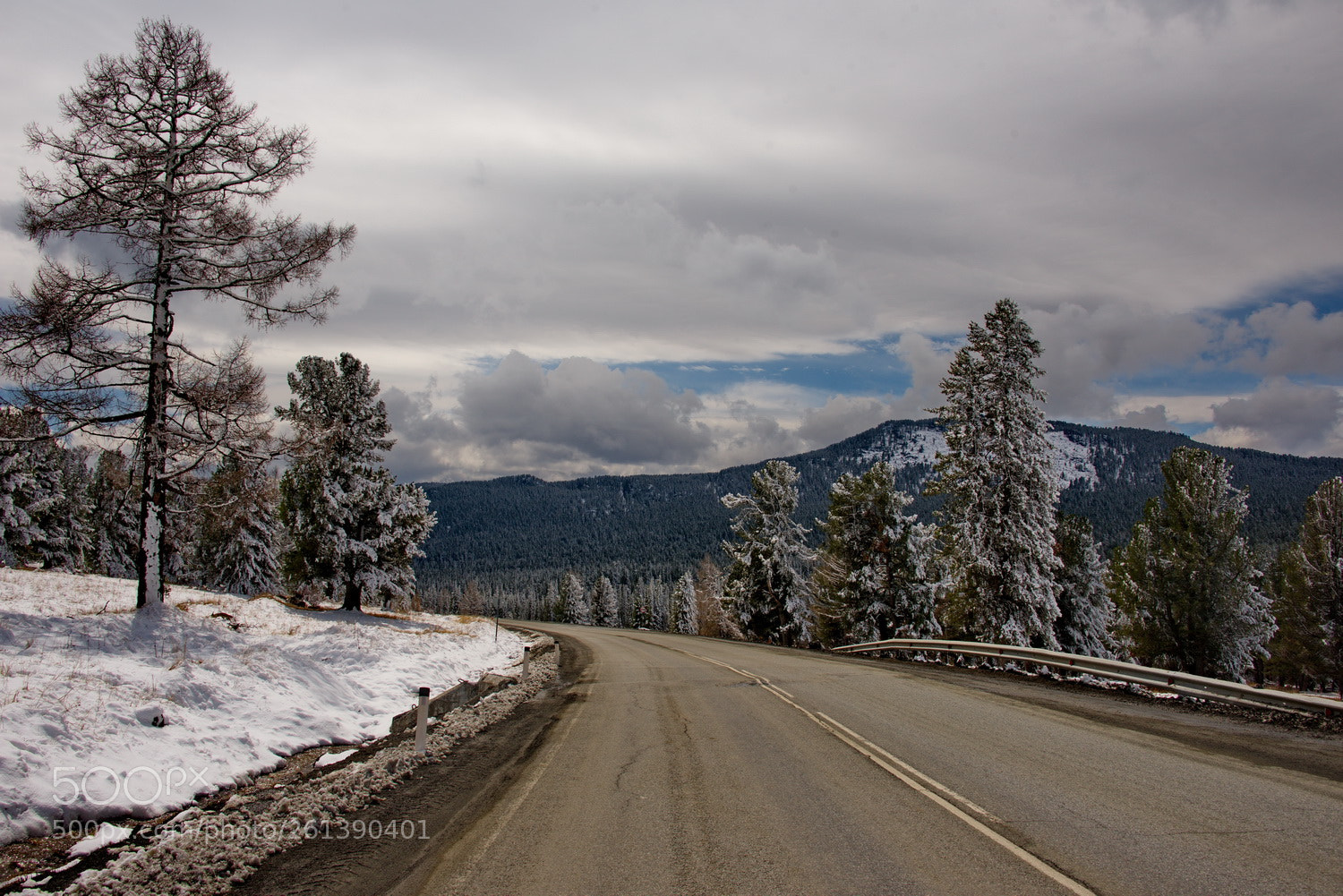 Nikon D750 sample photo. Russia. mountain altai. late photography