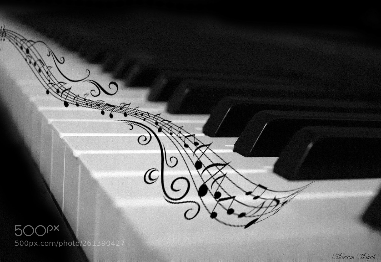Nikon D3100 sample photo. Music photography
