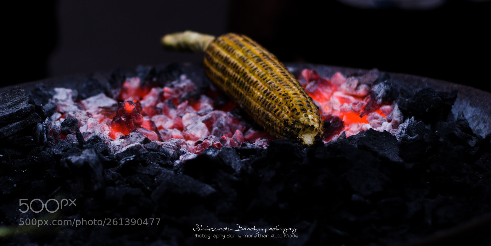 Nikon D5100 sample photo. Being roasted photography