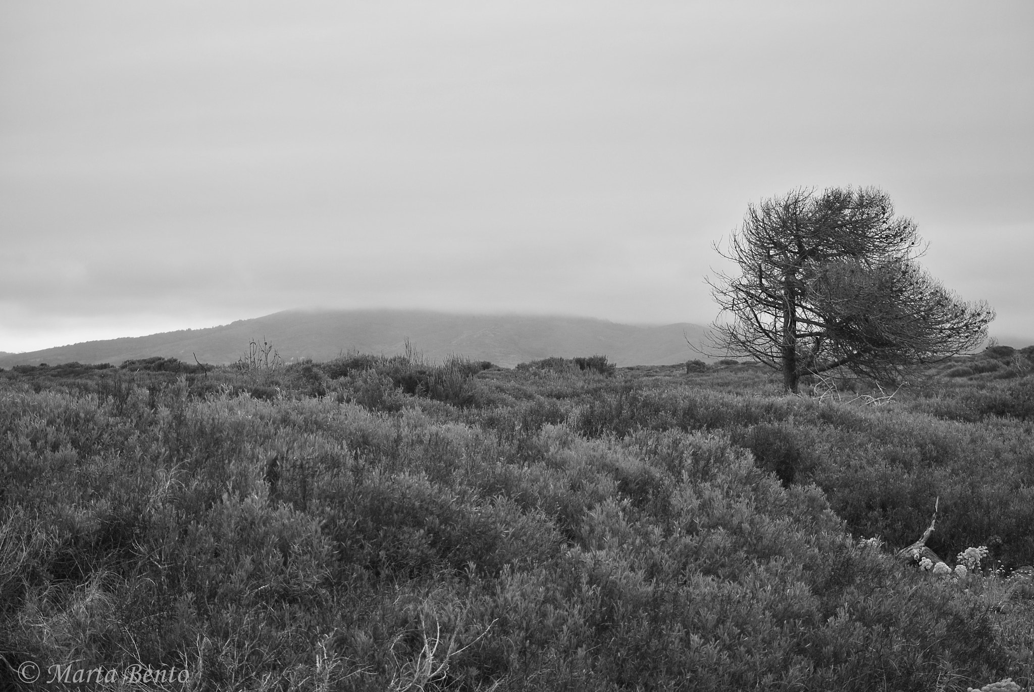 Nikon D3000 sample photo. Wuthering heights photography