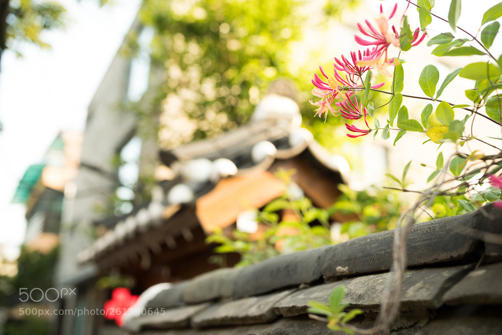 Canon EOS 6D Mark II sample photo. The flowers photography