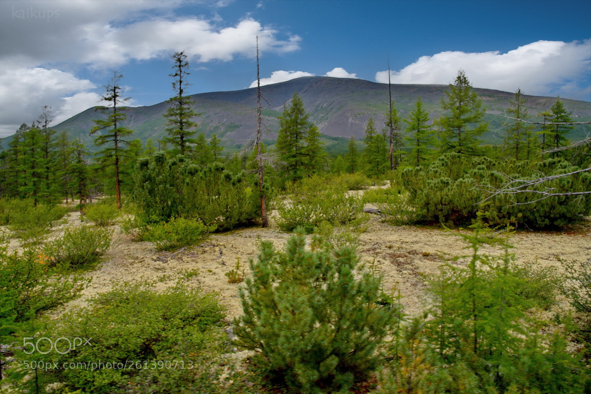 Nikon D750 sample photo. Russia. the nature of photography