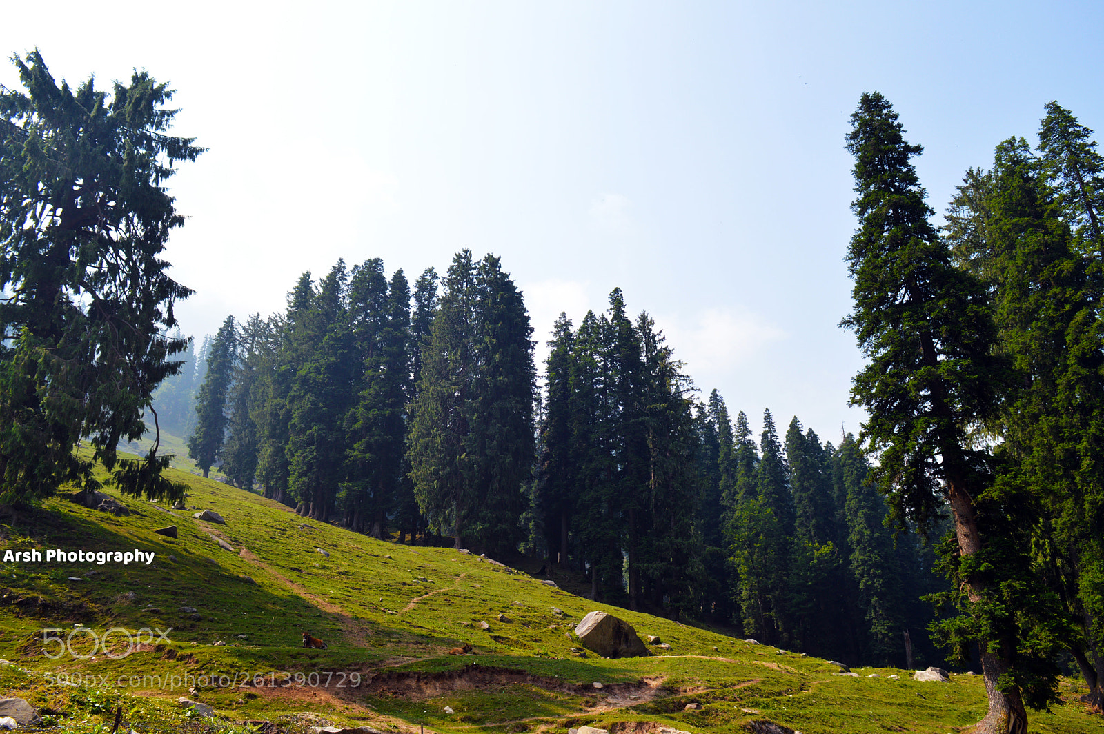 Nikon D3200 sample photo. Scenic hampta photography