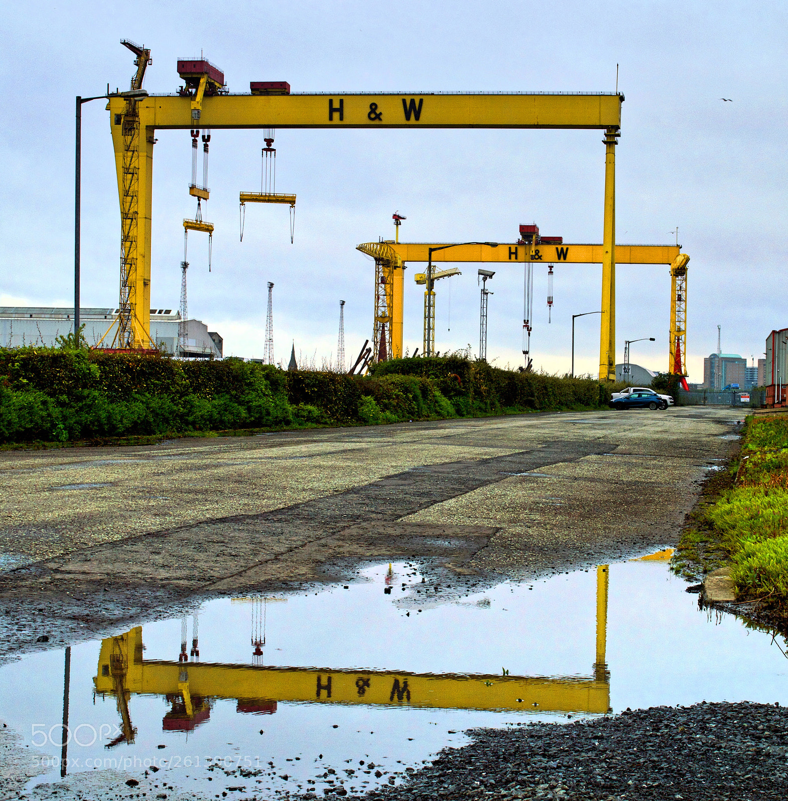 Nikon D3200 sample photo. H&w cranes reflection photography