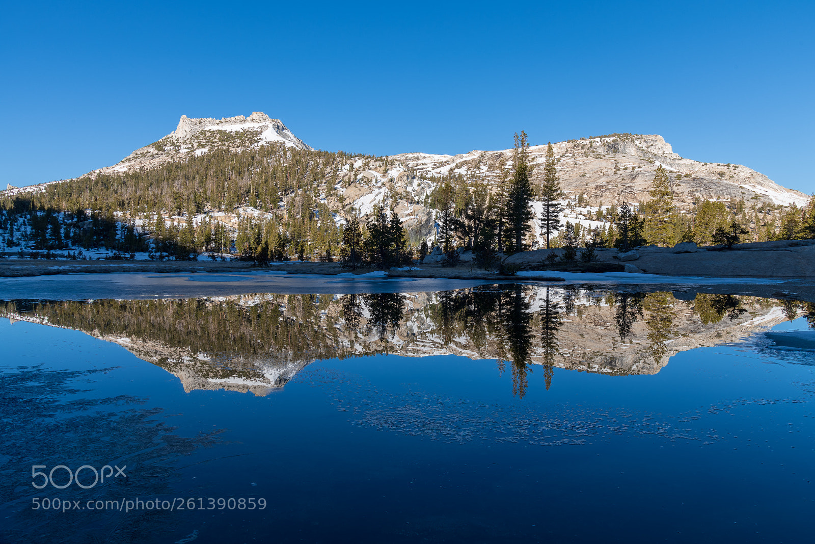 Nikon D850 sample photo. Tresidder peak, yosemite, ca photography