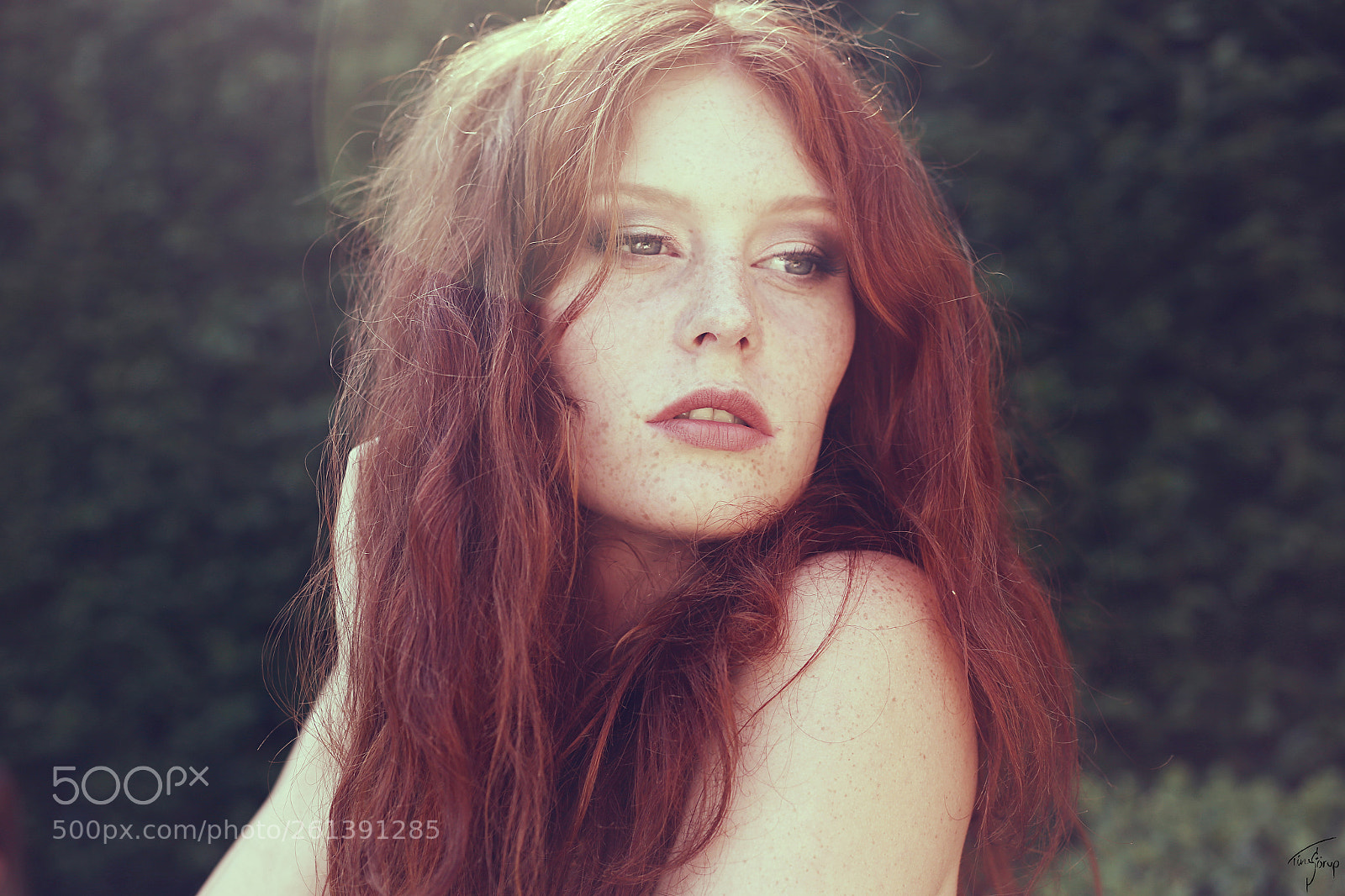 Canon EOS 6D sample photo. . muse photography