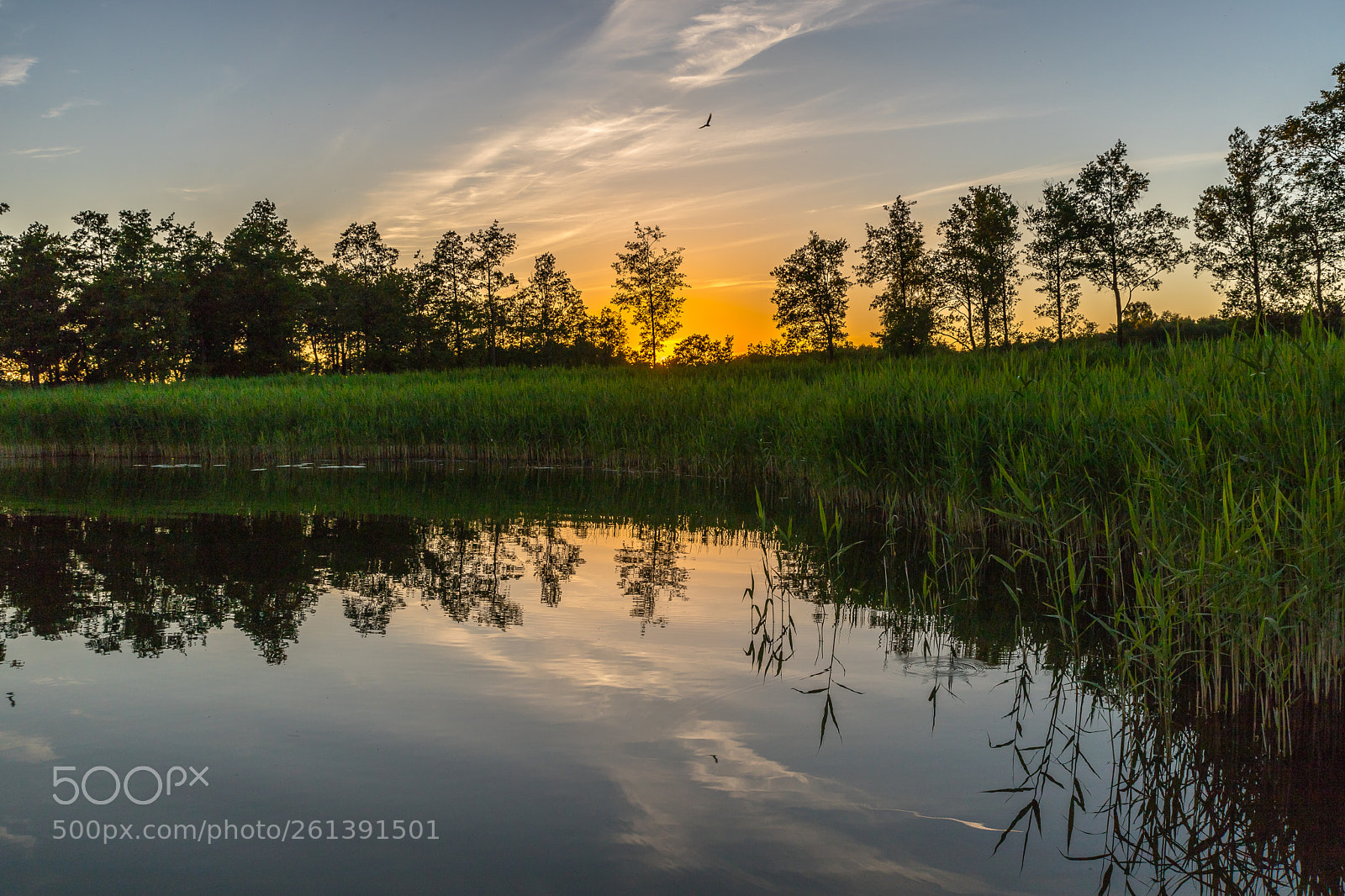 Canon EOS 6D Mark II sample photo. Sunset photography