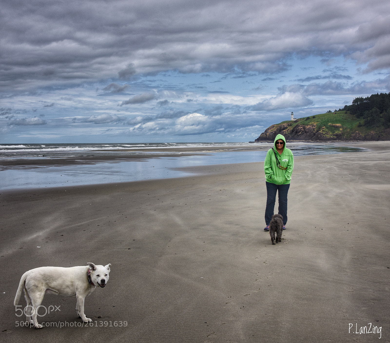 Nikon D810 sample photo. Beachwalking at cape disappointment photography
