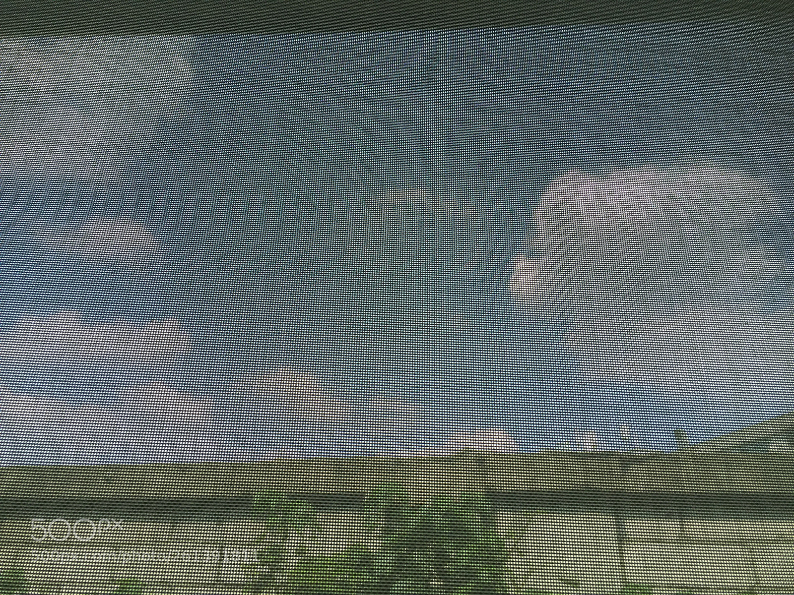 Apple iPhone 6 sample photo. 小森林 photography