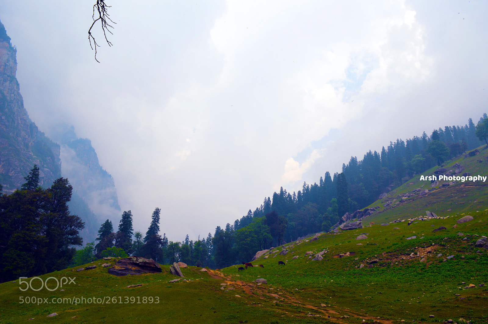 Nikon D3200 sample photo. Scenic landscape photography