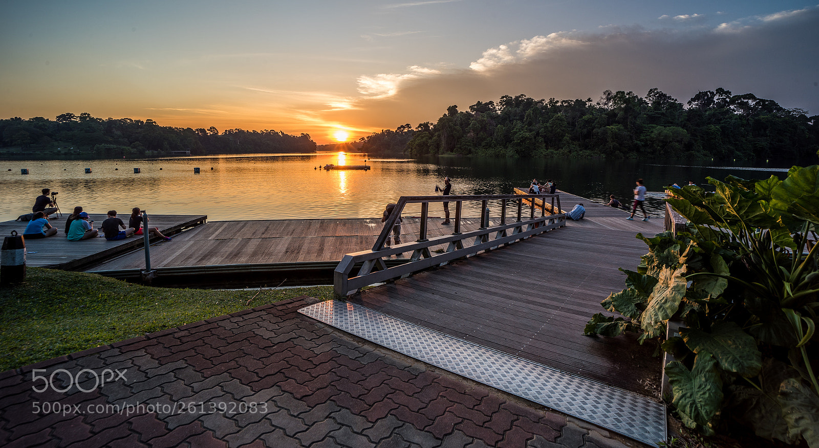 Nikon D810 sample photo. Together for sunset photography