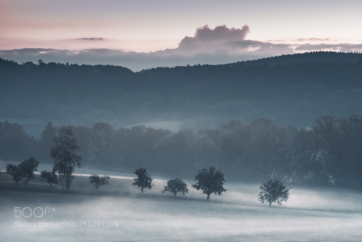 Nikon D750 sample photo. Morning mood... photography