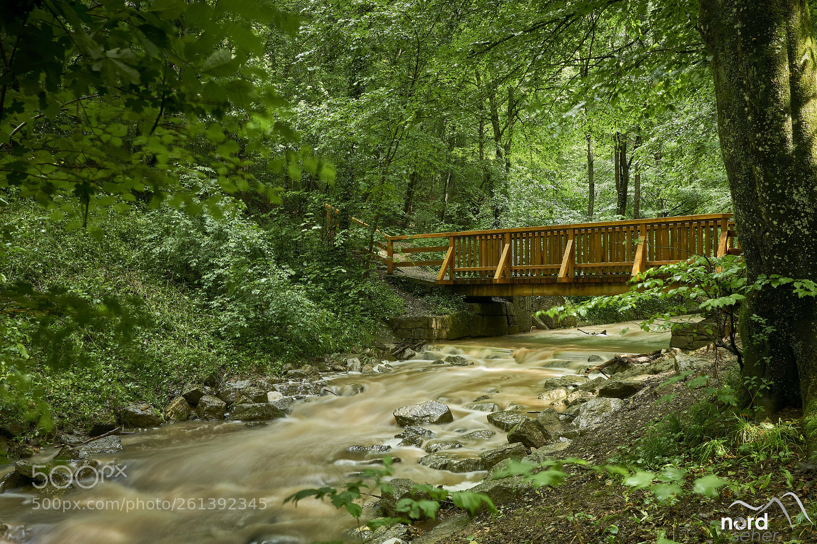 Sony ILCA-77M2 sample photo. Der kirnbach photography