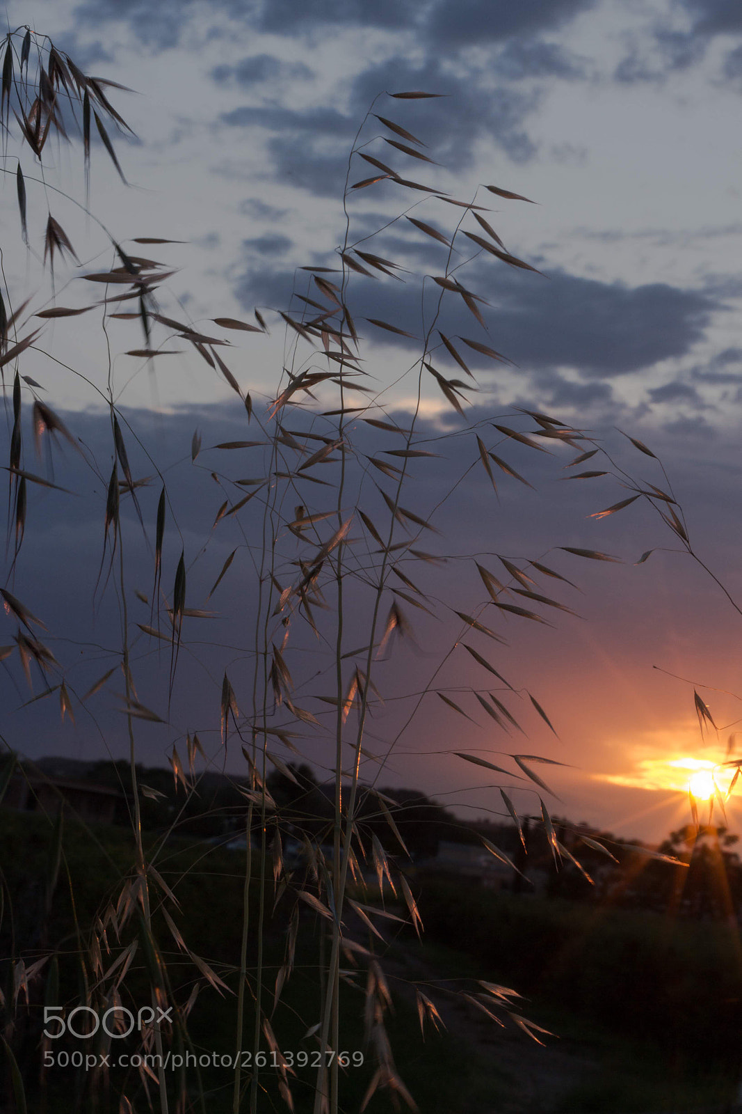 Canon EOS 700D (EOS Rebel T5i / EOS Kiss X7i) sample photo. Golden hour  photography