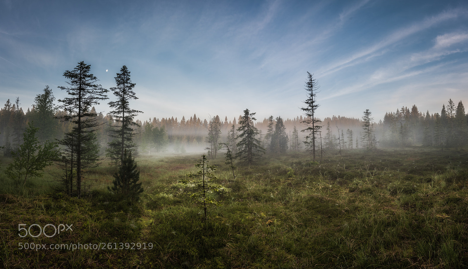 Nikon D810 sample photo. Fairyland. photography