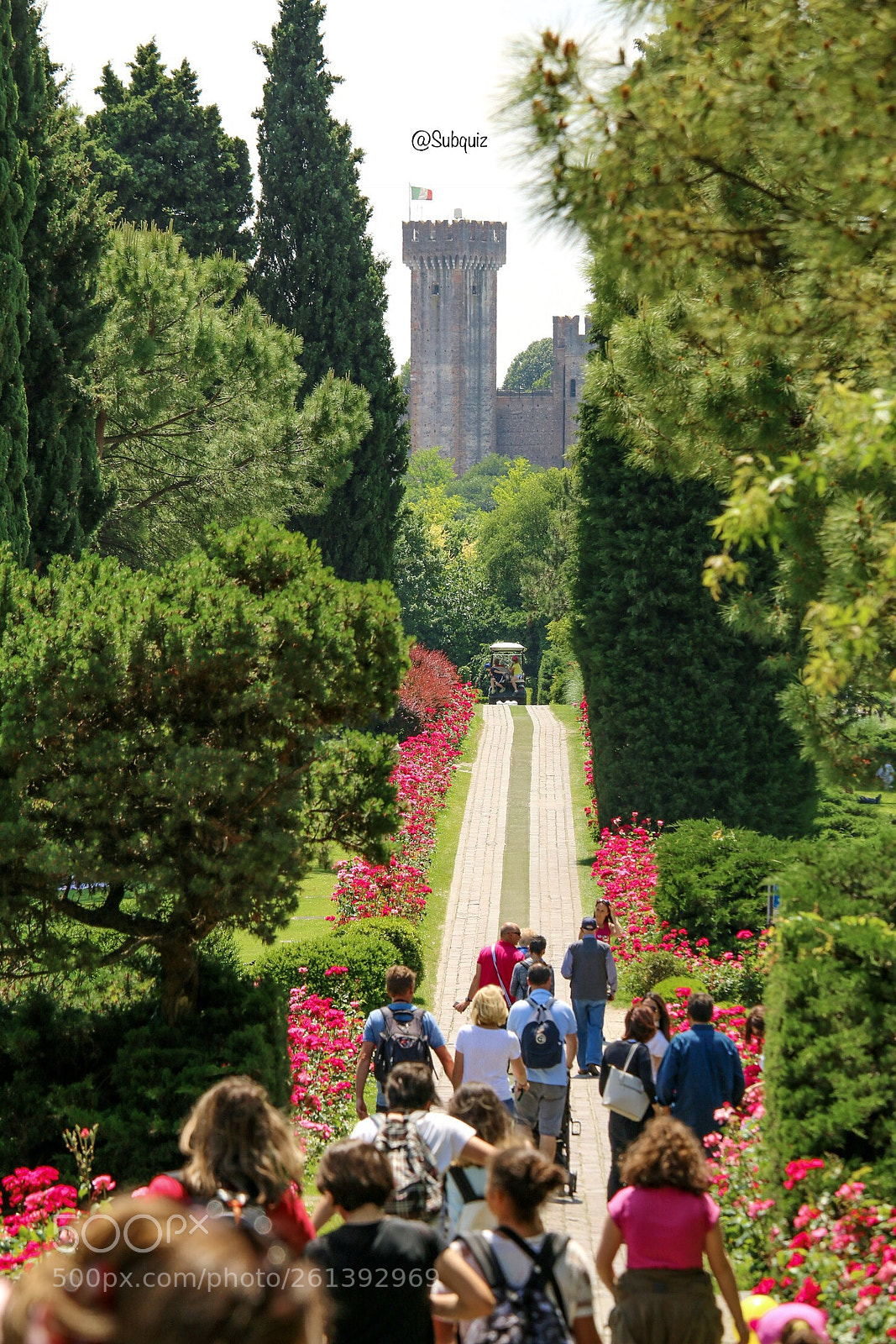 Canon EOS 70D sample photo. Viale delle rose photography