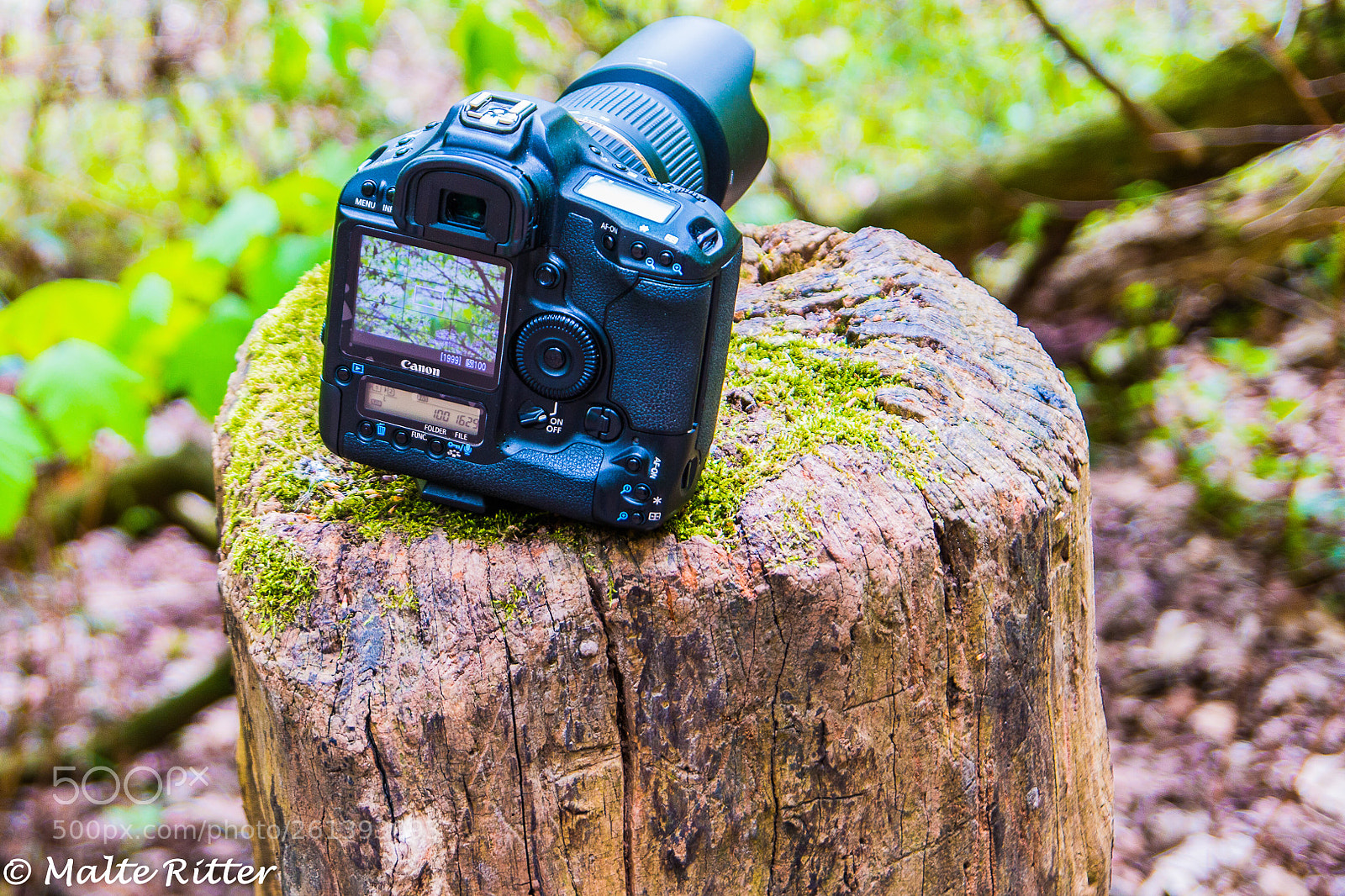 Canon EOS 70D sample photo. Untitled photography