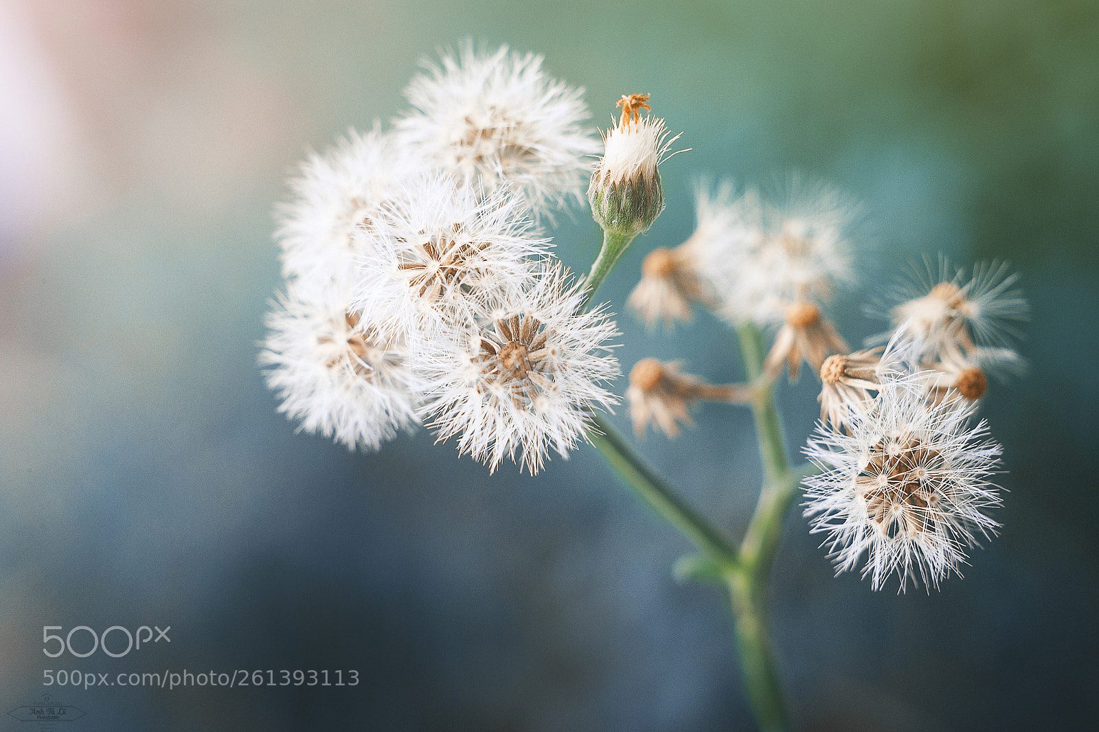 Canon EOS 6D sample photo. Colorful nature photography