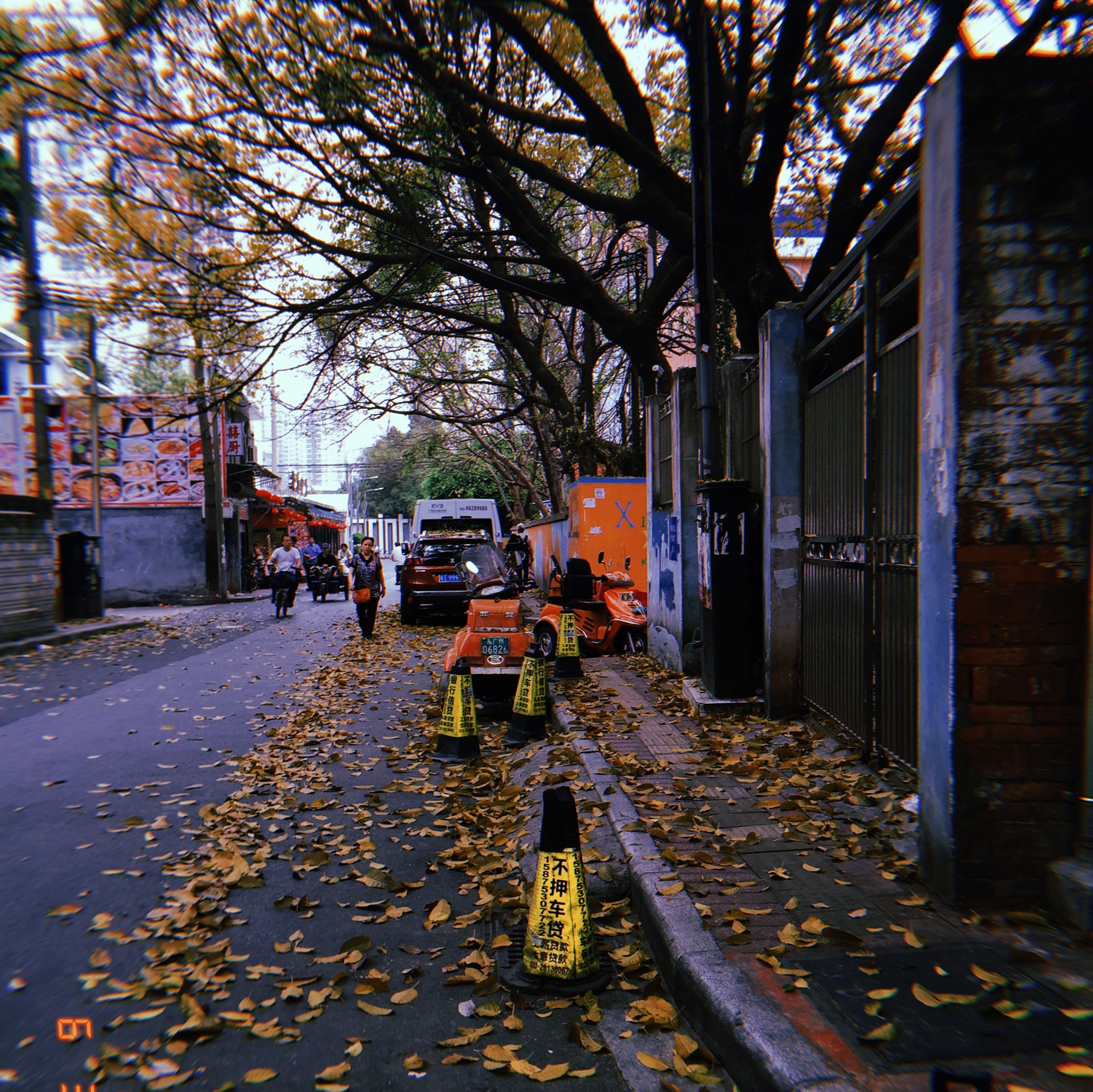 Apple iPhone sample photo. 🍂 photography